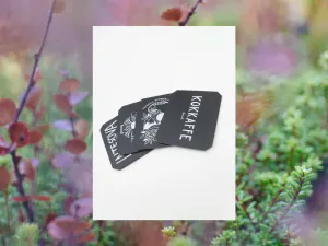 Hovedbilde Lemmel Isskrape