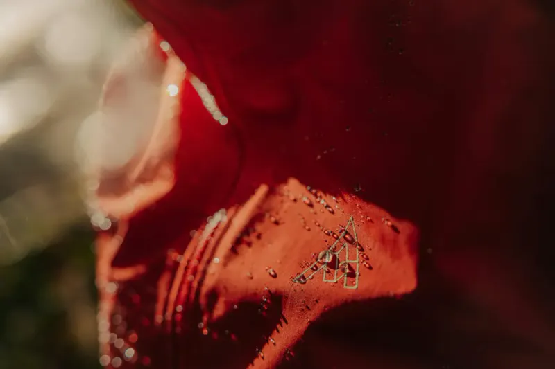 7Mesh Guardian Apex Jacket M's